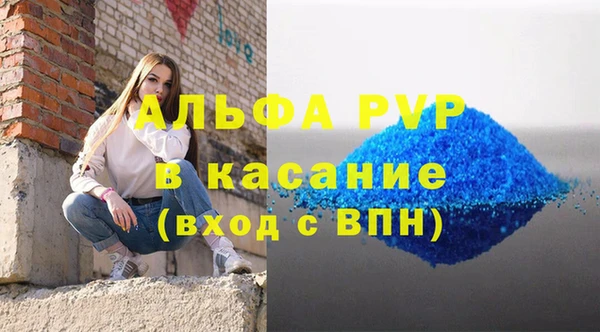амф Снежногорск