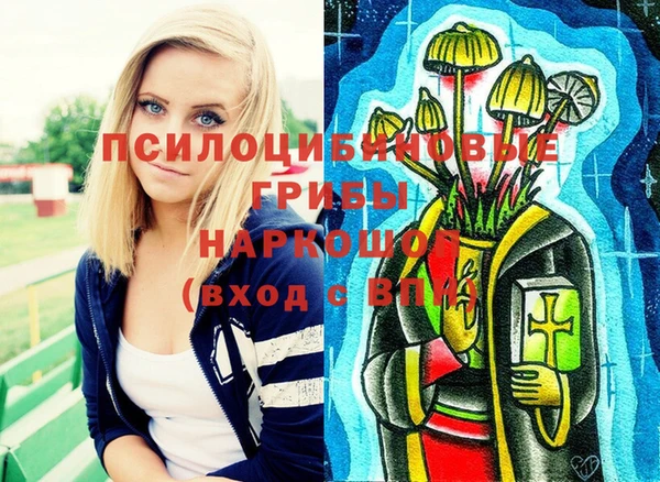 скорость Алексин