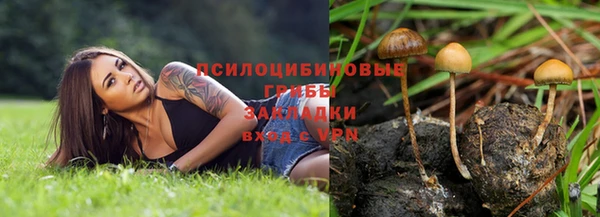 спиды Алексеевка
