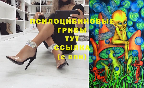 спиды Алексеевка