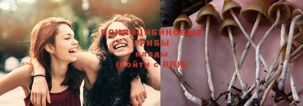 скорость Алексин